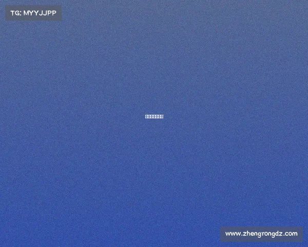 搏击比赛分几种